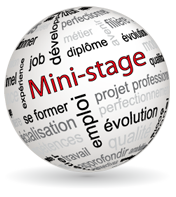 project img
